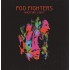 Foo Fighters Wasting Light LP